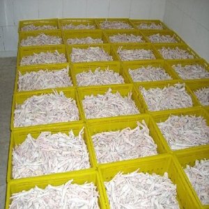 冷冻家禽冷冻鸡爪无骨鸡爪带清真证书出售
