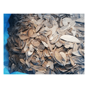 เปลือกหอยเปลือกหอยมุกสำหรับทำน้ำหอม - Product Image 2