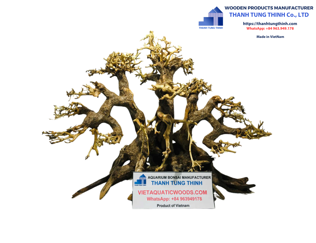 ธรรมชาติ