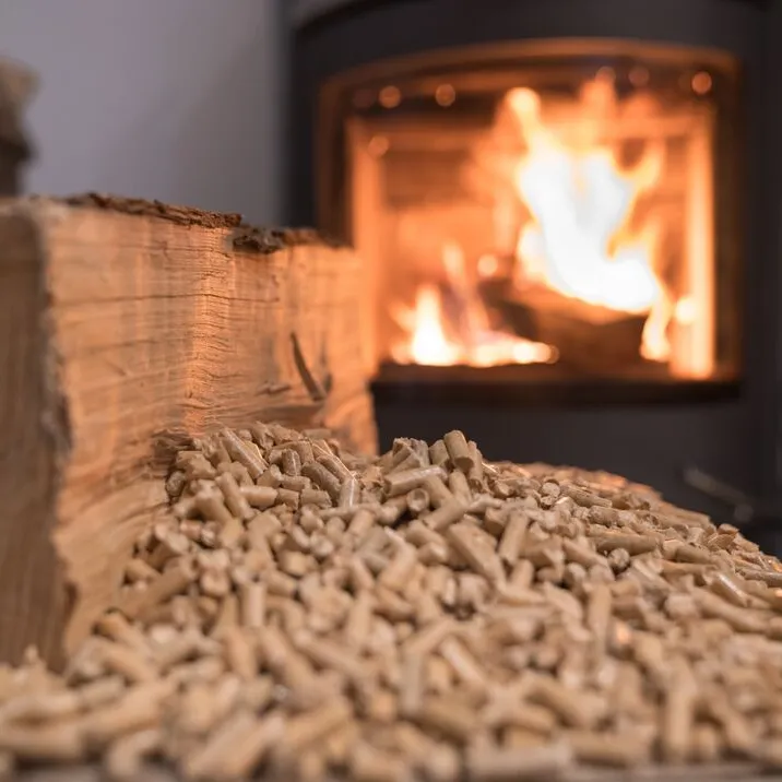최고의 유럽 장작 굽기 무연 스토브/나무 펠렛 스토브 접이식 미니 나무 화재 맞춤형 스틸 스테인레스