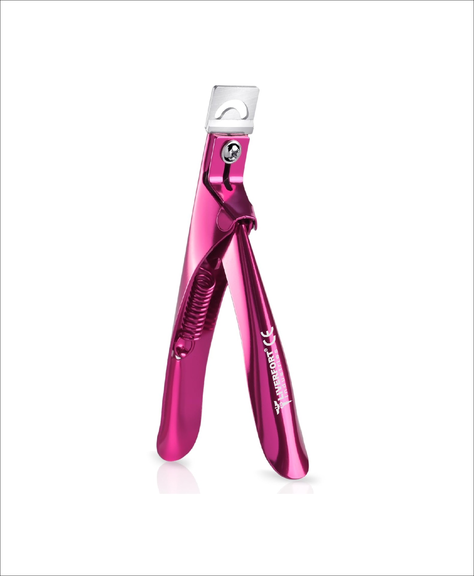 Fuchsia