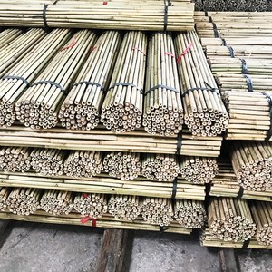 天然竹园木桩，用于支持番茄植物、攀爬藤蔓、蔬菜、花卉和园林绿化项目