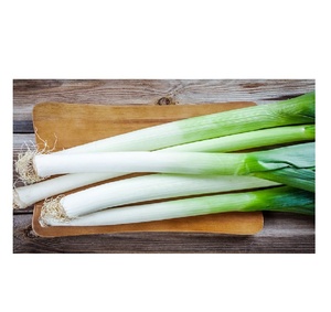 Purchase <strong>Leeks</strong> <strong>in</strong> <strong>Bulk</strong> at Wholesale Prices Fresh <strong>Leeks</strong> for Restaurants and Markets Available <strong>in</strong> Large Quantities - Product Image 5