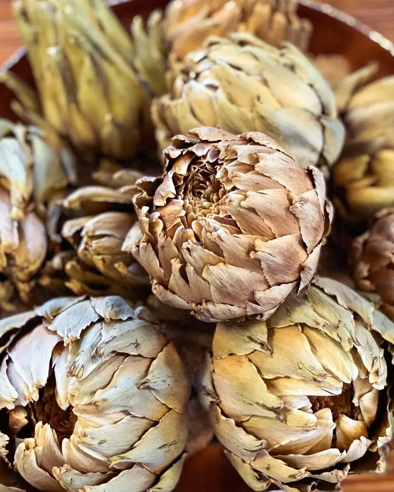 High quality dried artichoke at comperatitive price from Vietnam