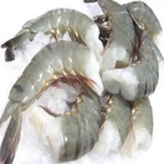 Camarón pelado de alta calidad, camarón tigre negro PD crudo al por mayor de Vietnam