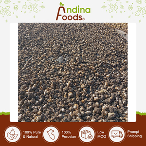 Fornecimento direto da fábrica Selvagem Método Cultivo Root Parts Extrato Herbal Black <span class=keywords><strong>Maca</strong></span> Root Extract <span class=keywords><strong>Powder</strong></span> from <span class=keywords><strong>Peru</strong></span> Fabricante - Product Image 2