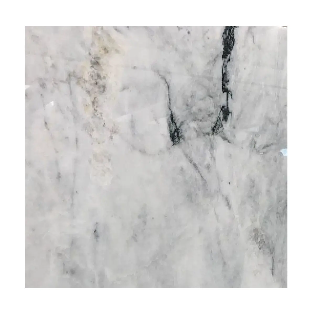Dalles de marbre blanc poli tropical, Dalles de marbre blanc tropical naturel, Dalle de marbre blanc neige