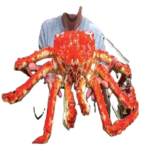 Kırmızı bütün kral yengeç bacaklar dondurulmuş çamur yengeci gıda çeşitliliği - Product Image 1