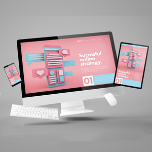 Desarrollo de software integrado personalizado y diseño de hardware | Diseño y desarrollo de sitios web B2C a un precio asequible