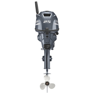 Tekne motoru Yamaha 25hp dıştan takma _ F25LMHC tekne motoru dünya çapında ihracat için üst ürün satış müşteri talebi en kaliteli - Product Image 6