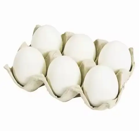 İnsan tüketimi için RESH kahverengi ve beyaz tavuk yumurta türkiye yumurta kuluçka için