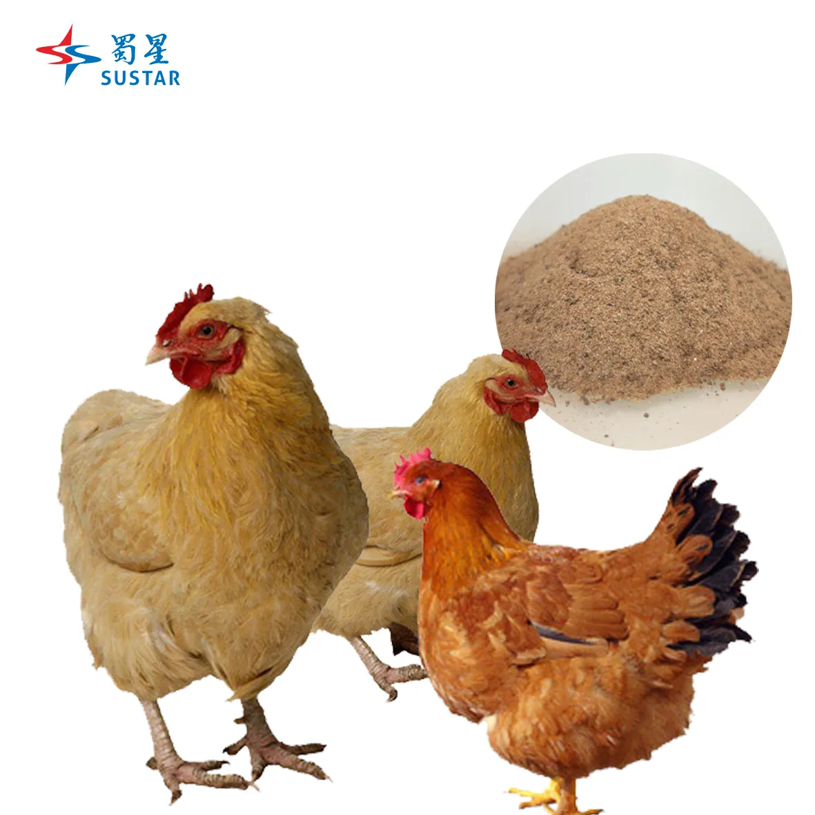 Premix Pakan Bersertifikat FAMI-QS/ISO/GMP dengan Elemen Jejak Organik Pakan Ayam untuk Ayam Pedaging