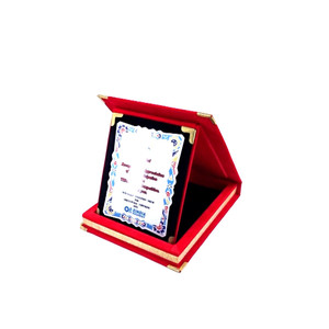Premium kalite el yapımı gümüş baskılı ödülü kadife kutu plak hediye kullanımı mevcut toplu miktar - Product Image 3