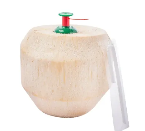 น้ำมะพร้าวสดที่ขายดีที่สุดพร้อมปุ่มกด Buton สะดวกในการผลิตในเวียดนาม