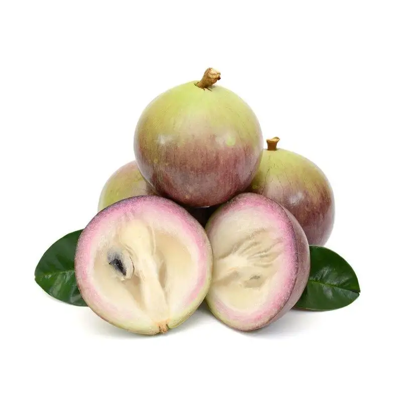 Star Apple dal vietnam 100% gusto dolce naturale Made In Vietnam buon commercio all'ingrosso biologico fresco maturo morbido viola