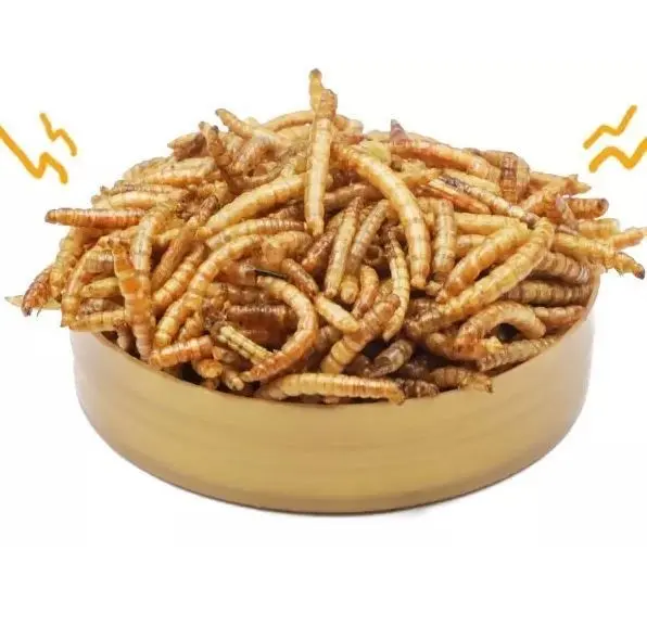 Mealworms secos en comida de mascotas, gusanos secos a granel, comida seca, origen de la UE