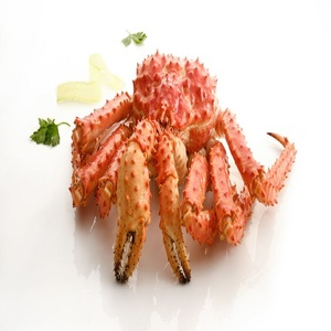 Ucuz fiyata satılık dondurulmuş kırmızı SPINY kral yengeç (ALASKA kral yengeç) - Product Image 5