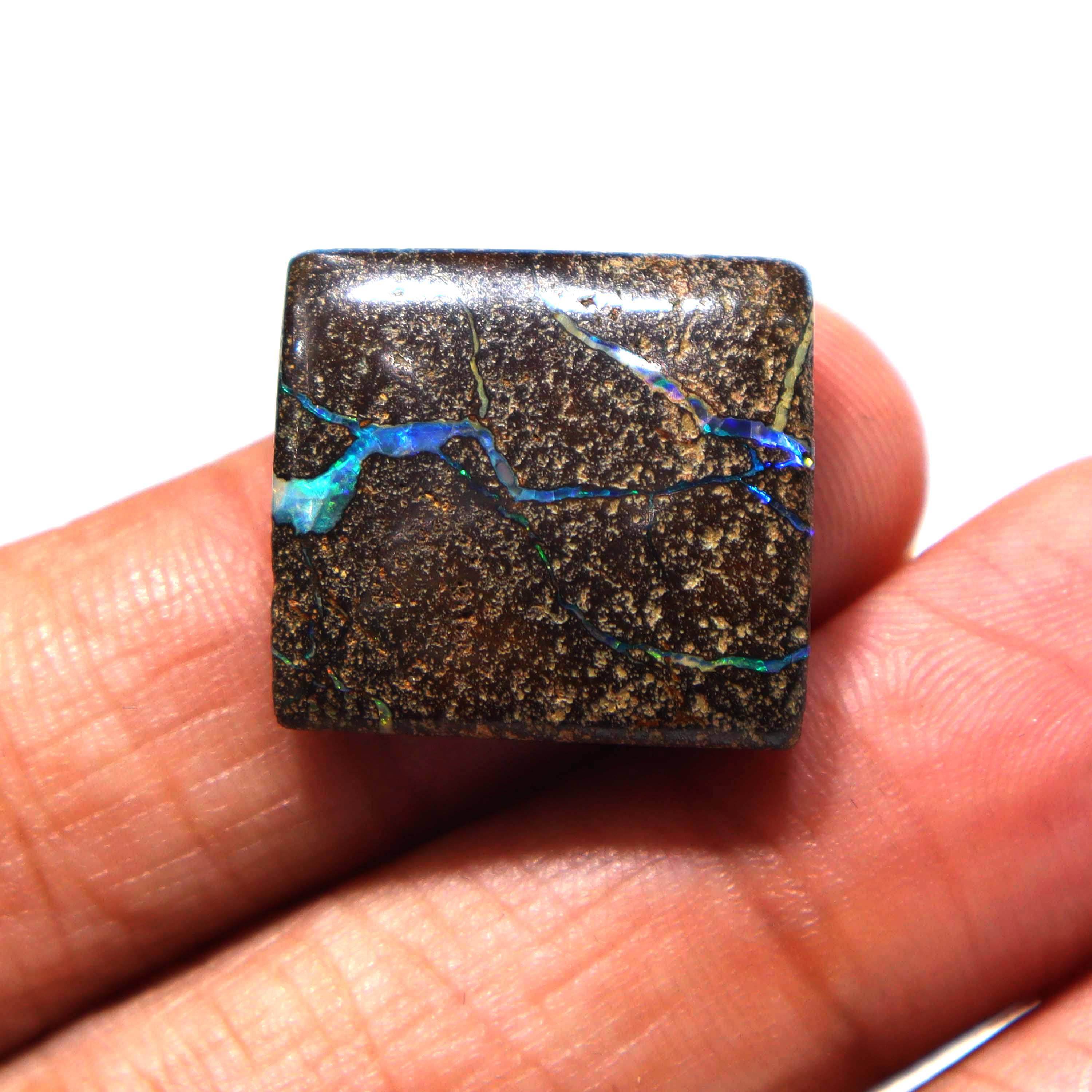 สีน้ำตาล