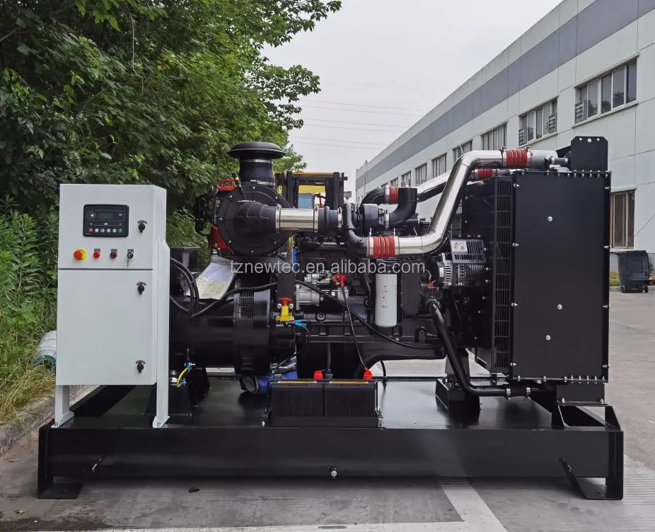 Nhỏ Máy phát điện 60 kW 75 KW DIESEL Gen Set với giá rẻ cho điện nhà