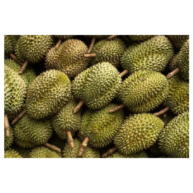 A buon mercato frutta fresca durian e nuovi prodotti durian congelati