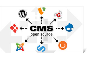 <strong>Web</strong> Developers <strong>Web</strong> <strong>Design</strong> Custom Content Management Software <strong>for</strong> Business Growth Available at Wholesale Price