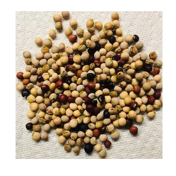 Wholesales Natural Fresh Green Peas For Sales IMPORT Pigeon Peas Wholesale hot selling frozen green Peas