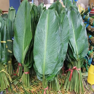 Taze hasat DONG yaprakları/BANH CHUNG için mükemmel ve daha fazla/vietnam'da yapılan - Product Image 6