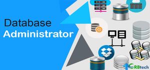 Funzionalità avanzate e più recenti Software di sviluppo di siti Web di Crowdfunding Mac e DOS Supported versione aziendale in Stock