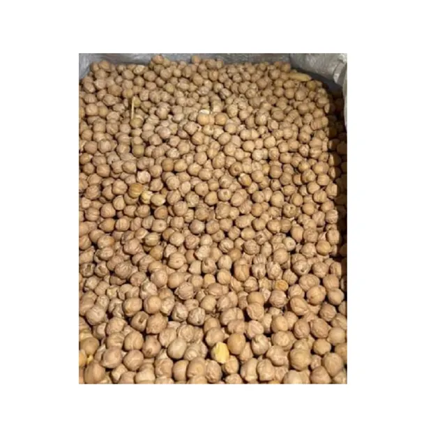 High Quality Bulk Quantity Supply Single Spices Healthy Dried Yellow Kabuli Chickpeas from Egypt Origin Exporter