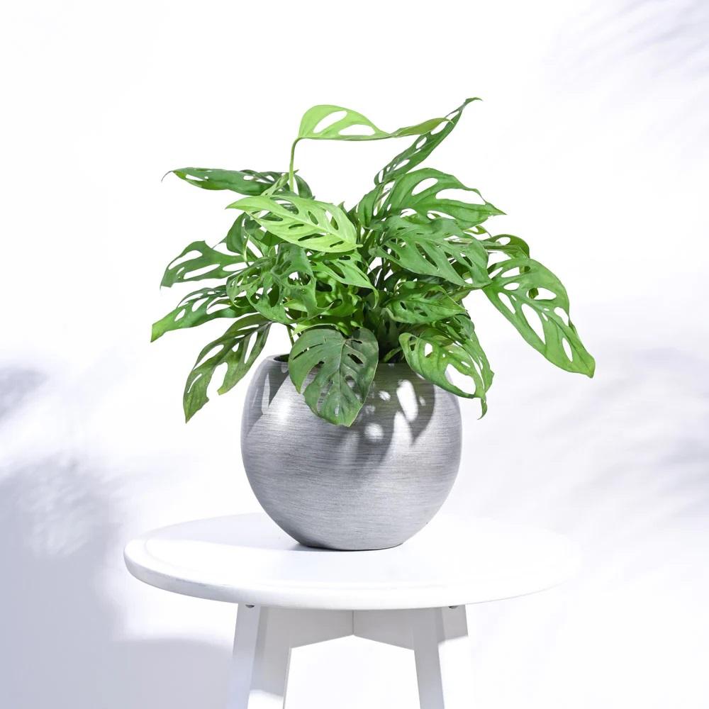 กำหนดเอง