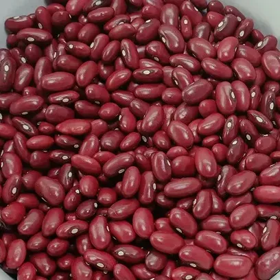 Best Price Handpicked And Polished Red Kidney Beans, Top Selling, 100% Pure, New Harvest 2024 Ethiopian Origin Handpicked