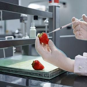 La matière première fournit des enzymes complexes d'alphaGalactosidase phytase protéase pour réduire les anti-nutriments - Product Image 5