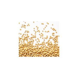 BRC Certified Non-GMO Roasted Salted Edamame Baked Soybeans - Product Image 4