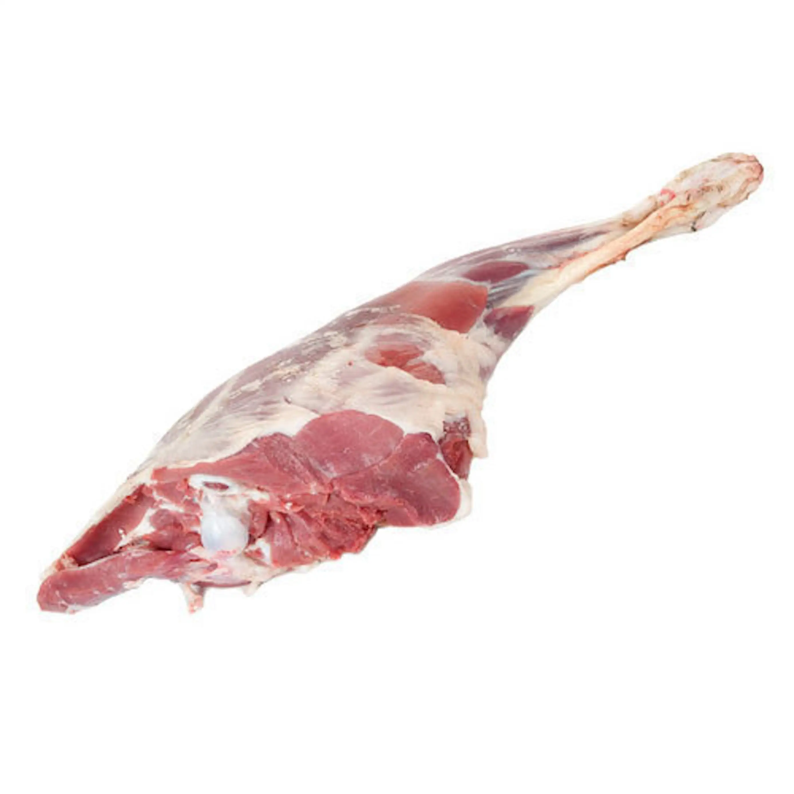 निर्यात के लिए उच्च गुणवत्ता वाला जमे हुए हलाल बकरी का मांस / ताजा हलाल बकरी का मांस