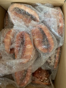 100% натуральная Морская ракушка для улиток хорошего качества, полированная раковина из раковин, натуральная морская раковина из Вьетнама по лучшей цене - Product Image 2