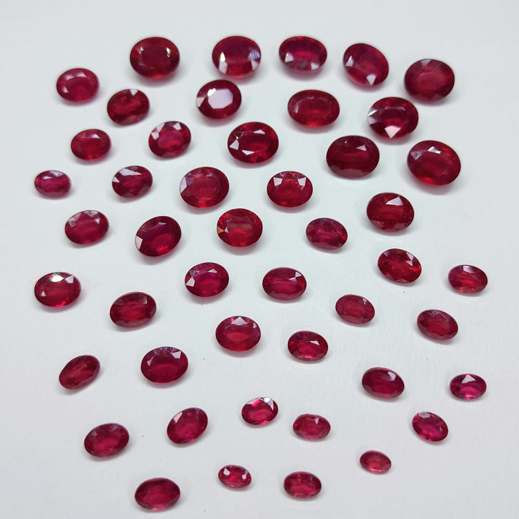 Rougeâtre Rose à Pigeon Rouge Sang