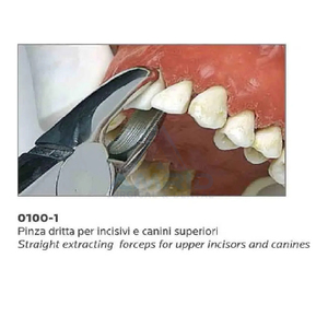 Lower <strong>Molars</strong> Extracting Forceps Lower <strong>Molars</strong> Extracting Forceps Quantity CE DENTAL EQUIPMENTS - Product Image 2