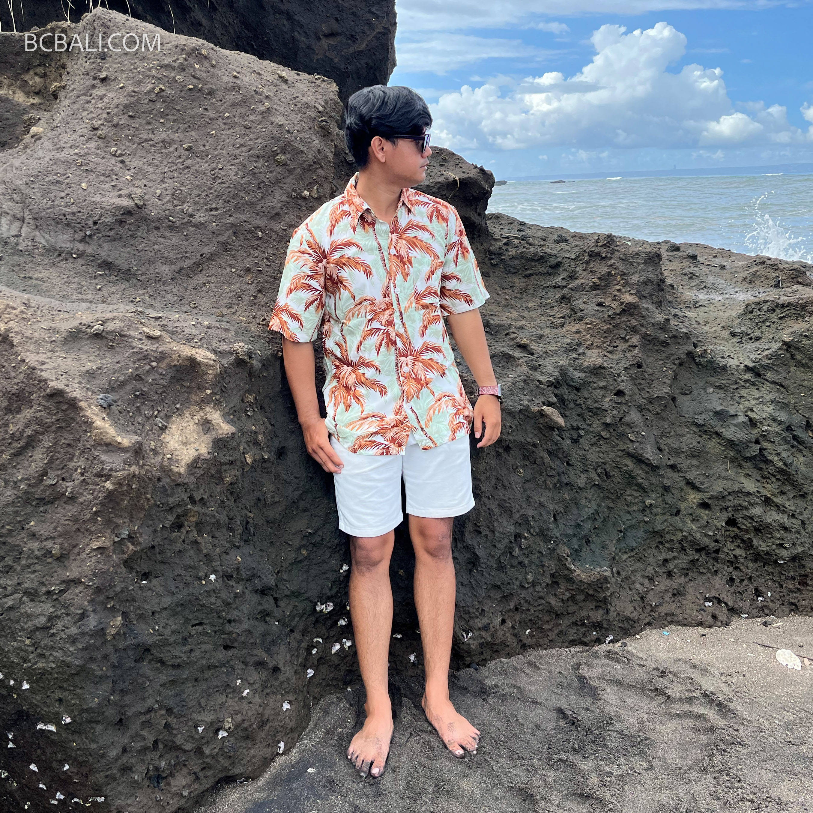 สีน้ำตาล