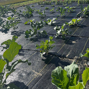 UV điều trị nông nghiệp Sản phẩm nhựa Weed kiểm soát vải vườn cây ăn trái Weed rào cản vải làm vườn Weed mat - Product Image 4