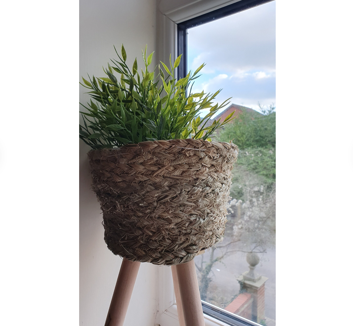 สีธรรมชาติ