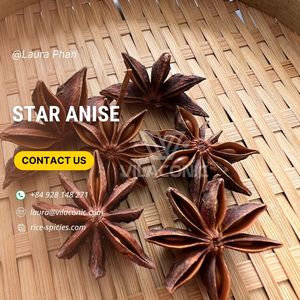 最优惠的价格明星茴香决明子肉桂直接源自越南优质单一香料香草冬春-WS劳拉