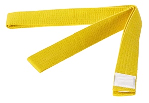 Yetişkinler BJJ kemerler özel Logo BJJ Gi kemer brezilyalı Jiu Jitsu Judo dövüş sanatları Karate rütbe kemerler