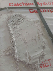 CAL HIDRATADA DE GRADO PROFESIONAL PARA ALBAÑILERÍA, ENYESADO Y RENDIZADO 92% Ca(OH)2 FÁBRICA DE CAL SLAKE DIRECTO DE VIETNAM - Product Image 3