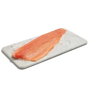 批发树脂工艺大王三文鱼壁挂饰品