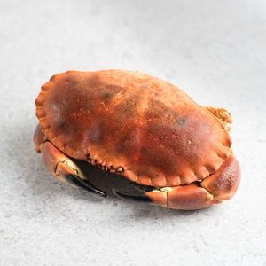 Bulk Frozen Snow Crab Legs and <strong>Alaskan</strong> King Crab Legs Suppliers - Product Image 4