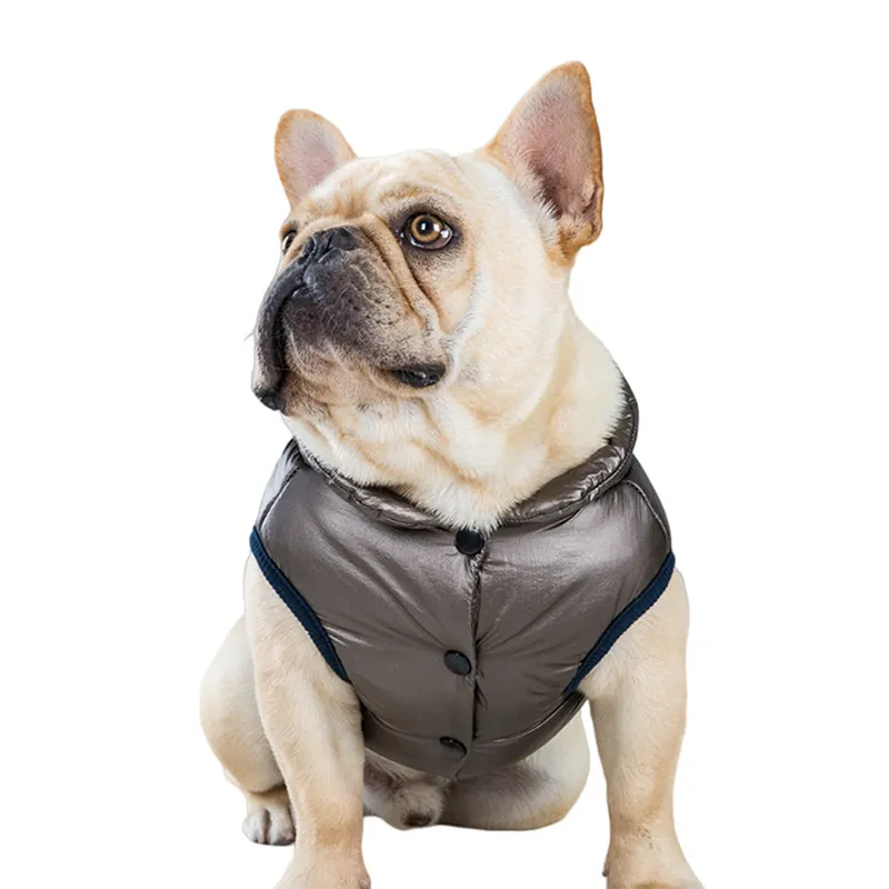 Op Maat Gemaakte Modeontwerper Frenchie Kleine Hond Huisdier Winter Puffer Jas Kleding Luxe Voor Puppy