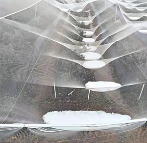 Chất lượng cao Trắng <span class=keywords><strong>HDPE</strong></span> Hail-proof <span class=keywords><strong>Net</strong></span> cho cây ăn quả tùy chỉnh cắt để bảo vệ từ mưa đá thiệt hại - Product Image 3