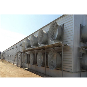 Kế hoạch xây dựng trang trại gia cầm Gà trang trại nhà để 10000 gà chuồng gà thương mại - Product Image 4