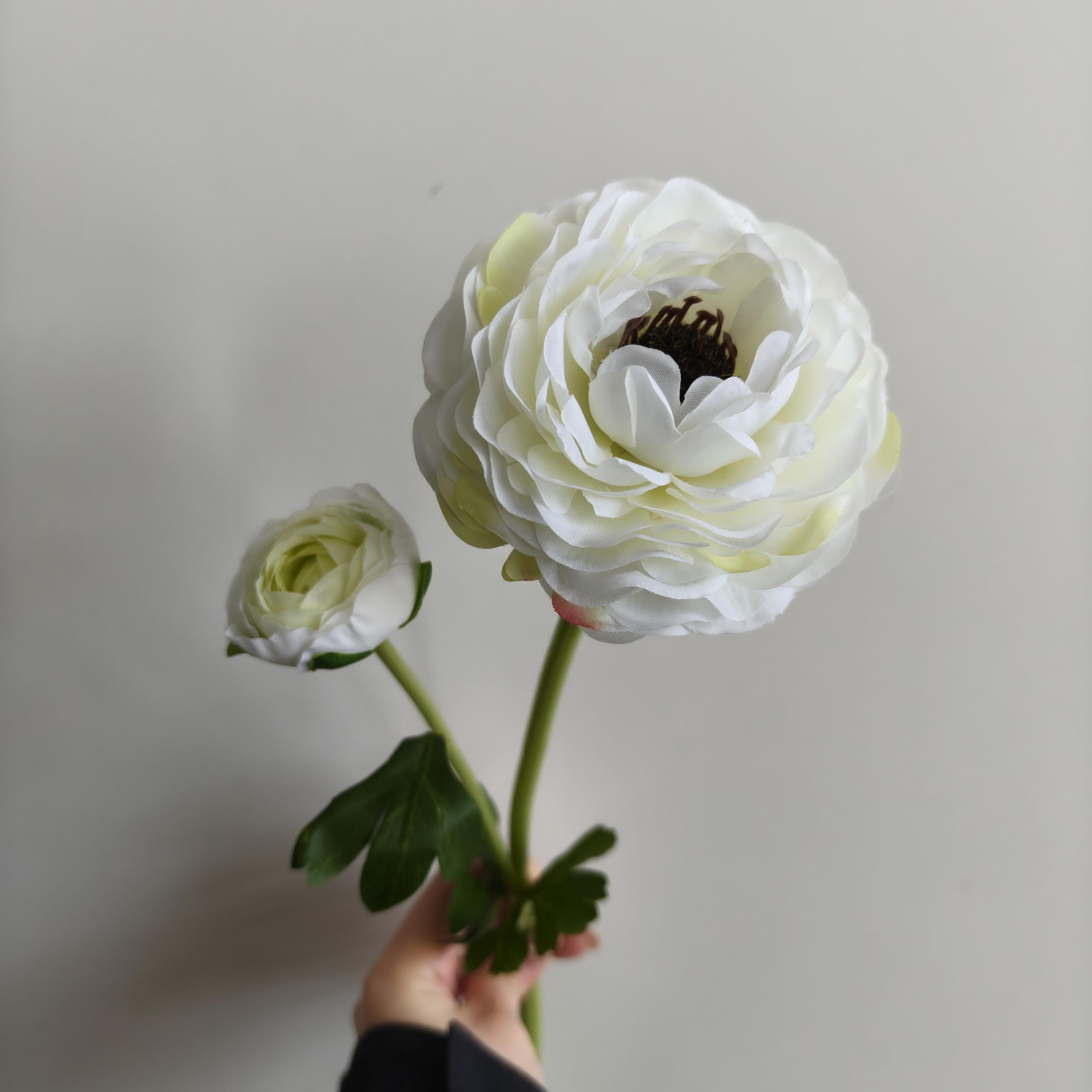 White 2-head lulian single branch
