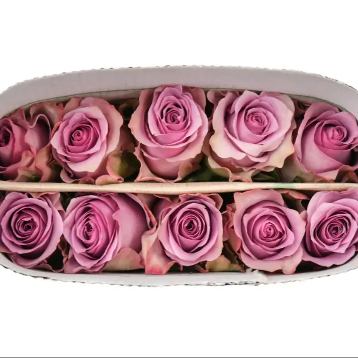 วันวาเลนไทน์ Rose Lilac สีฟ้า 4 ซม.ขนาด 52 ซม.ก้านขายส่งขายปลีกสดตัดดอกไม้งานแต่งงานดอกไม้ตกแต่ง
